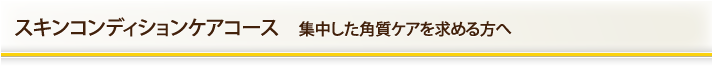 スキンコンディションケアコース