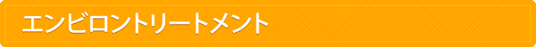 エンビロントリートメント