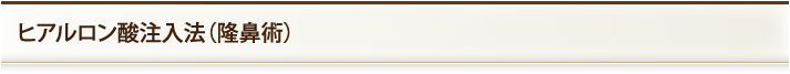 ヒアルロン酸注入法（隆鼻術）