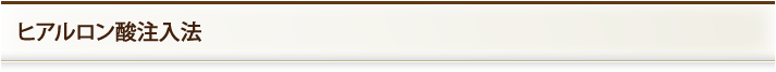 ヒアルロン酸注入法